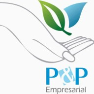 P&P empresarial